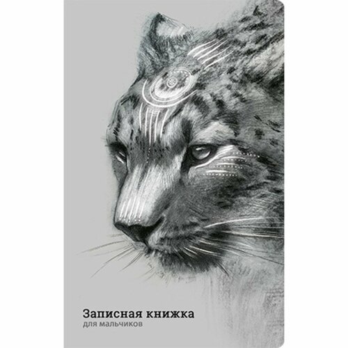 Записная книжка для мальчиков А5, 56 листов, Ирбис, картонная обложка, ламинация софт-тач, выборочный лак, блок офсет 65г/м2 записная книжка блокнот в клетку софт тач street art компактный а5