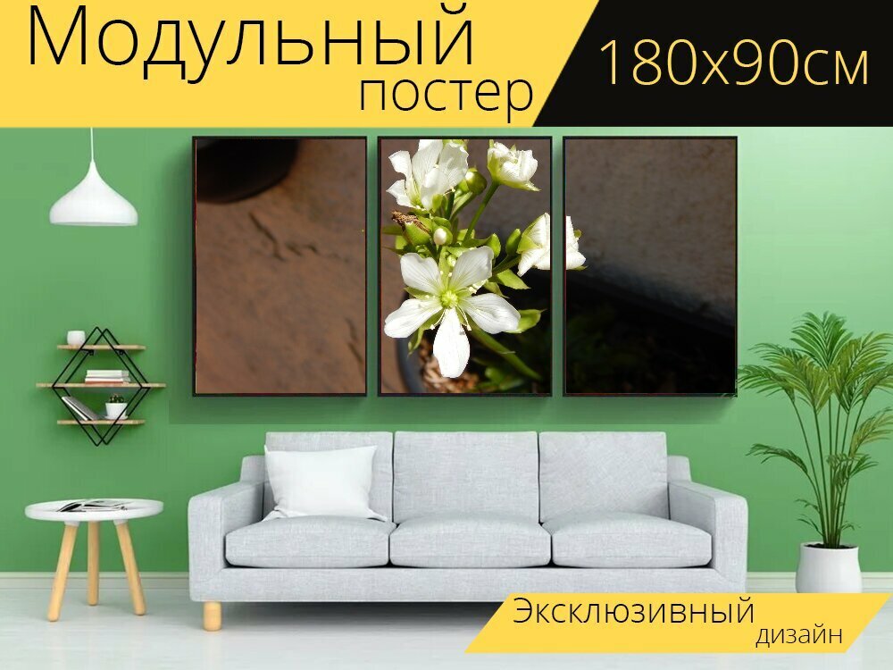 Модульный постер "Цветок венерина мухоловка плотоядное растение" 180 x 90 см. для интерьера
