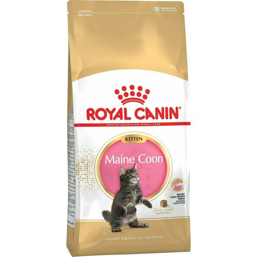 Royal Canin / Сухой корм для котят Royal Canin Maine Coon Kitten для породы Мейн-кун 4кг 1 шт