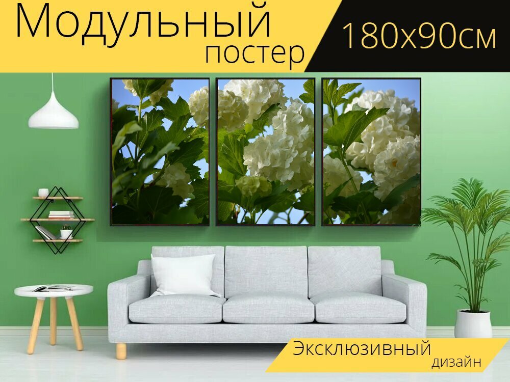 Модульный постер "Бульденеж, весна, цветы" 180 x 90 см. для интерьера