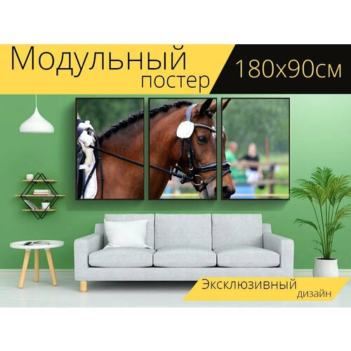Модульный постер "Лошадь, лошадиная голова, езда на лошади" 180 x 90 см. для интерьера