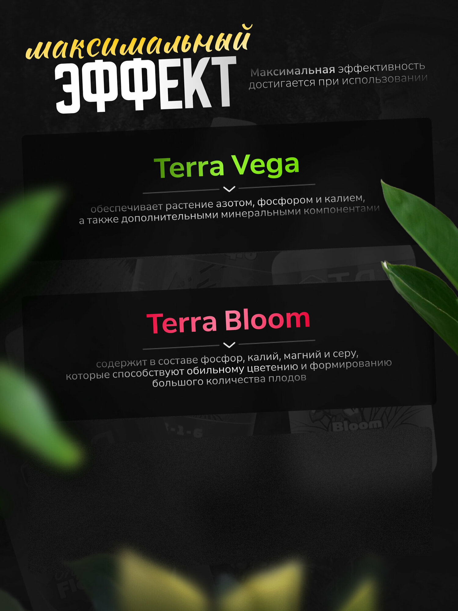 Удобрение Simplex Terra Vega (для земли) 5 л. л - фотография № 5