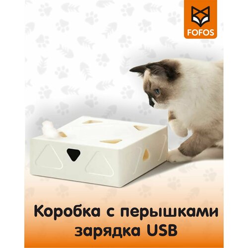 Интерактивная 