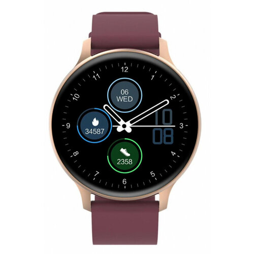Смарт-часы CANYON Badian SW-68 золотой 279000₽