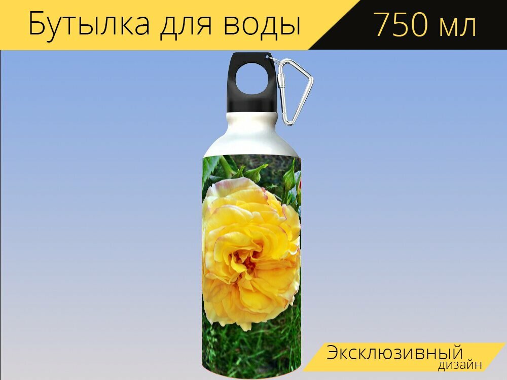 Бутылка фляга для воды 