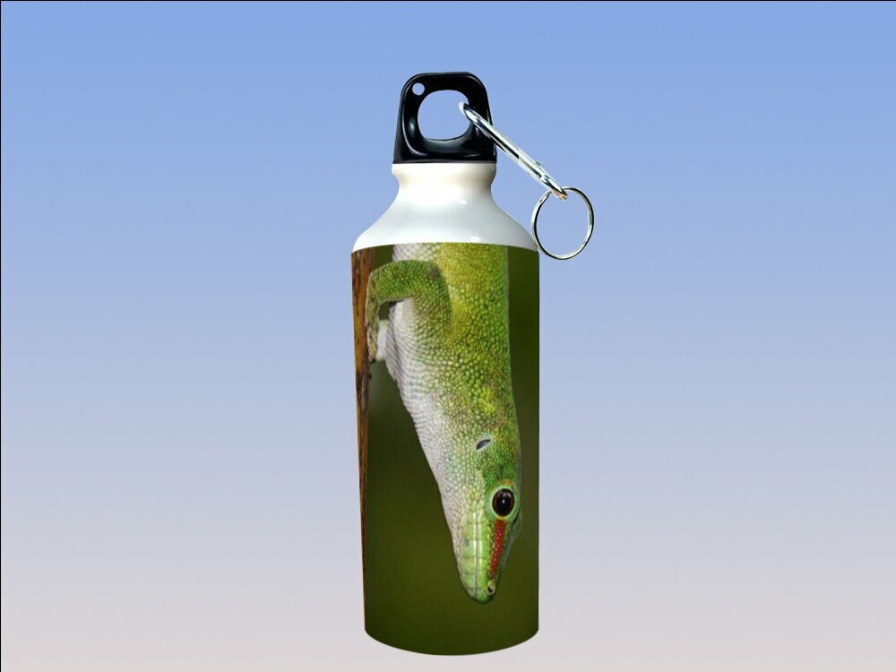 Бутылка фляга для воды "Ящерица, перхоть, мадагаскарский дневной геккон" 750 мл. с карабином и принтом