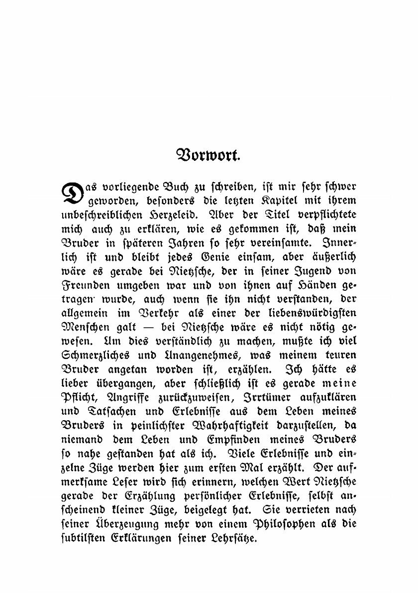 Der einsame Nietzsche (Elisabeth Forster-Nietzsche) - фото №3