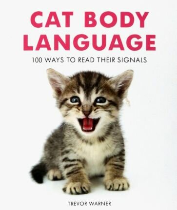 Cat Body Language. 100 Ways To Read Their Signals - фото №1