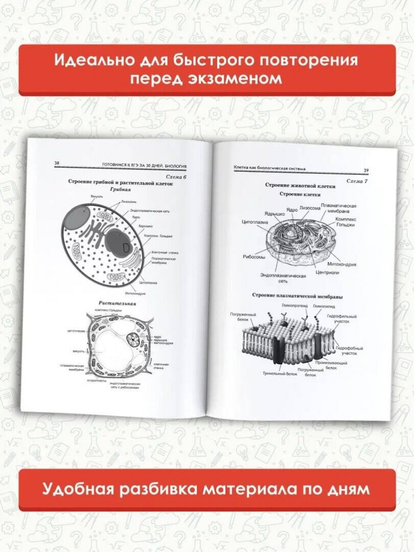 Готовимся к ЕГЭ за 30 дней. Биология - фото №6