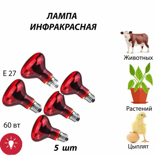 Лампа инфракрасная 5 шт для обогрева для лечения, для курятника, для растений, для птиц, для животных, для цыплят (60 Вт Е27)