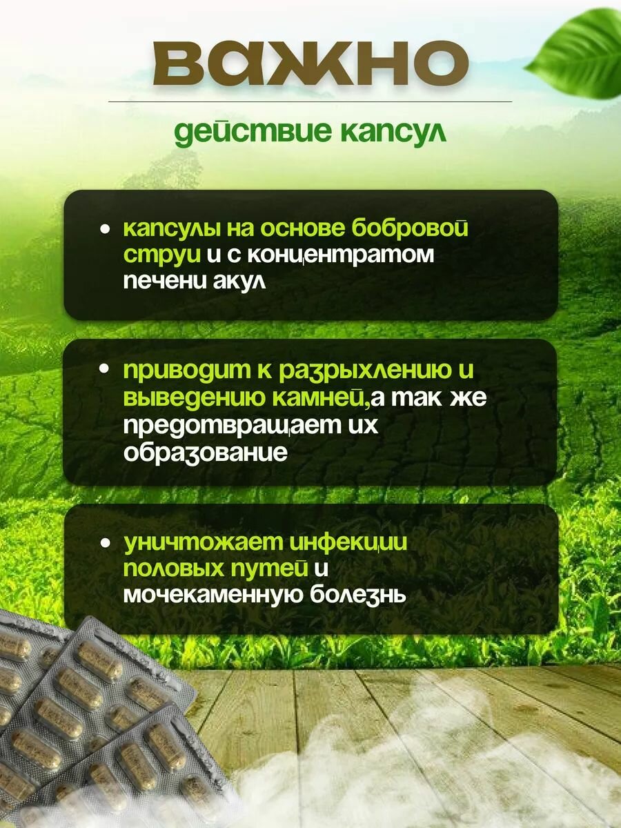 Изображение Простамакс-1 в капсулах для мужчин, Сашура-Мед, противовоспалительная формула для мочеполовой системы
