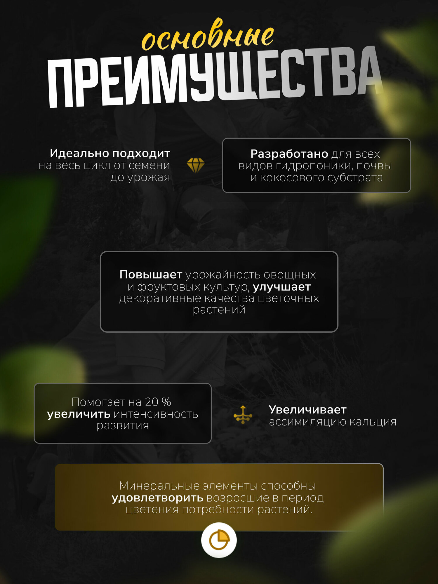 Органический активатор цветения T.A. Pro Bloom (GHE) 60 мл. - фотография № 3