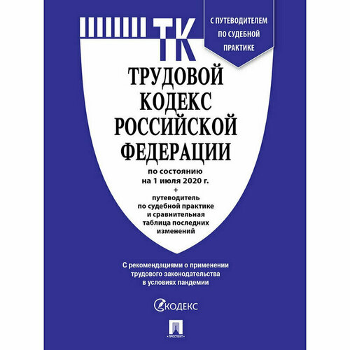Книга Трудовой кодекс РФ по состоянию на 1 июля 2020 года с таблицей изменений и путеводителем по судебной практике, 1218082