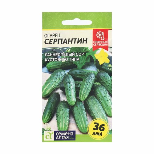 Семена Огурец 