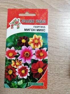 Георгина Мигон Микс цв. п 02г