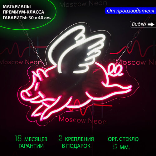 Изображение товара Неоновый светильник, неоновая светодиодная вывеска на стену, настенная лампа "Свинка с крыльями", 30 х 40 см.