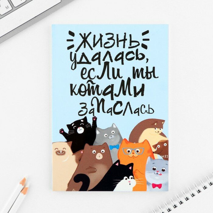 Ежедневник А5, 80 л. Тонкая обложка «Много котов»