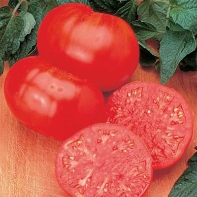 Коллекционные семена томата Бифштекс Альби