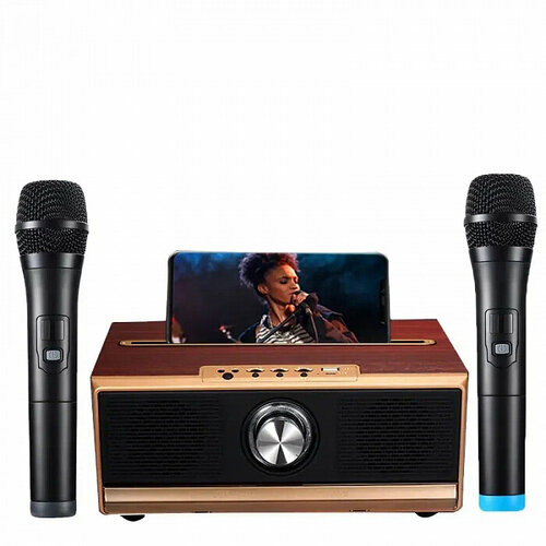 Портативная колонка с микрофонами Q13 1590000₽