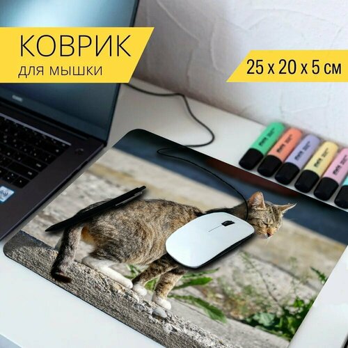 Коврик для мыши с принтом Кот, животное, домашнее животное 25x20см.