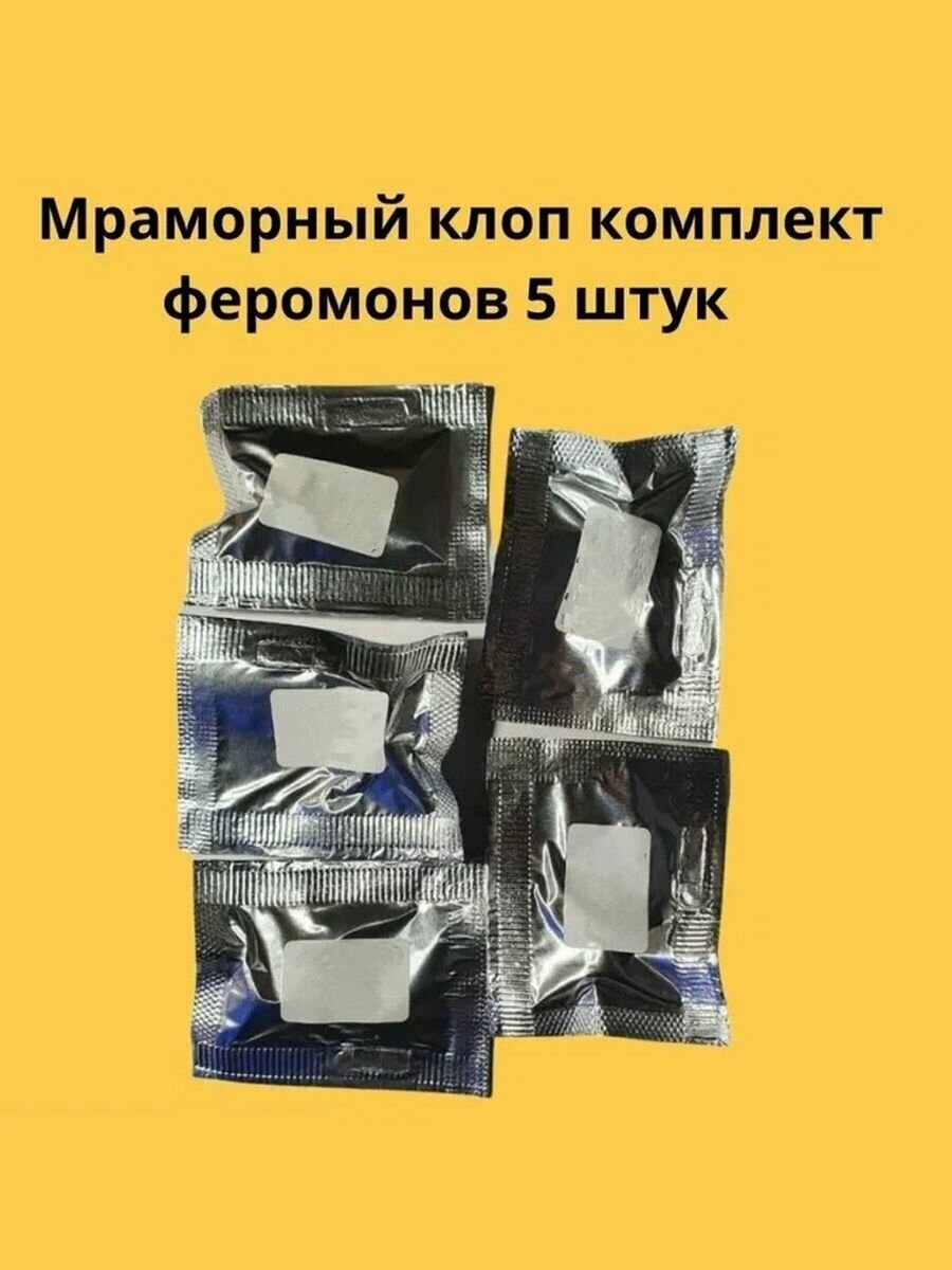 фото Мраморный клоп феромоны 5 штук