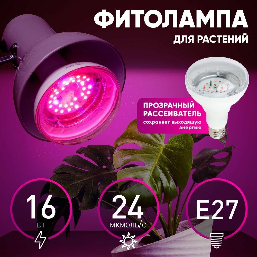 Фитолампа ЭРА FITO-16W-RB-E27-K светодиодная для растений красно-синий спектр 1310К 16Вт