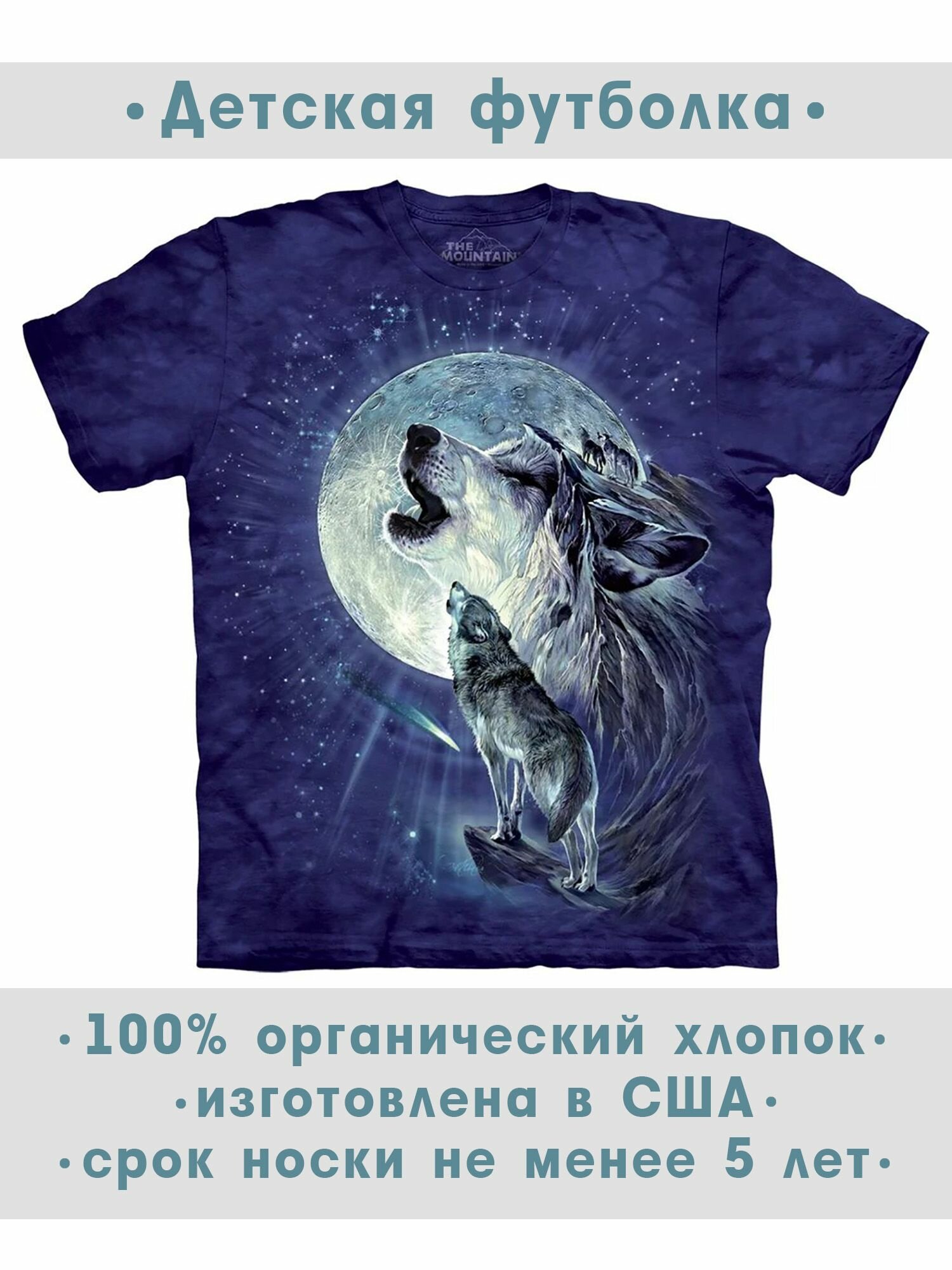 Футболка детская The Mountain "Full Moon Gravity"