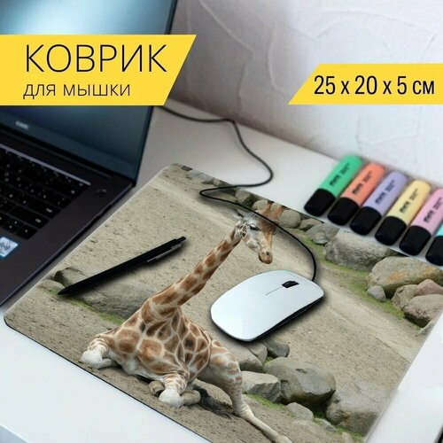 Коврик для мыши с принтом Жирафа, жираф жирафа, животное 25x20см.