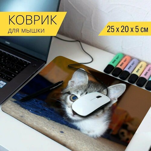 Коврик для мыши с принтом Кошка, симпатичные кошки, морда кошки 25x20см. коврик для мыши с принтом кошка лампа кошки 25x20см