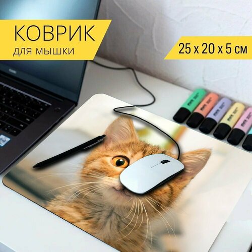 Коврик для мыши с принтом Кошка, кошачий, котенок 25x20см. коврик для мыши с принтом кошка милый кошачий 25x20см