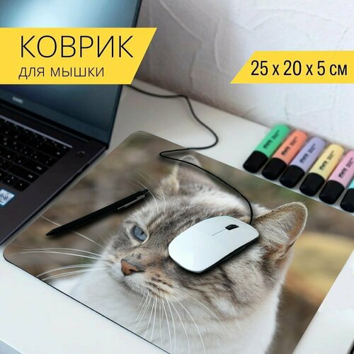 Коврик для мыши с принтом Кошка, портрет кошки, уши кошки 25x20см. коврик для мыши с принтом кошка лампа кошки 25x20см