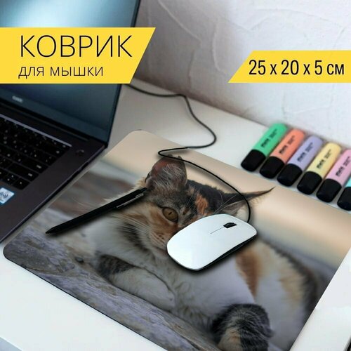 Коврик для мыши с принтом Кошка, пушистый, котенок 25x20см. коврик для мыши с принтом кошачий кошка пушистый 25x20см