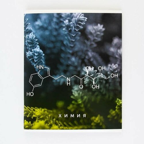 Тетради предметные ArtFox STUDY Природа - Химия, 48 листов, на скобе, А5, 2 шт в наборе химия школьная энциклопедия