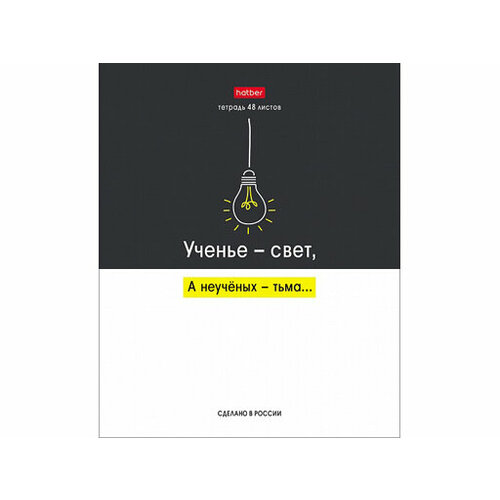 Тетрадь 48л А5ф клетка 65г/кв. м на скобе 10 дизайнов в коробе серия -Люблю школу- / набор 10 шт тетрадь 48л а5ф класс d клетка на скобе обложка хром эрзац цена за 1 шт тетрадь тетрадь 48