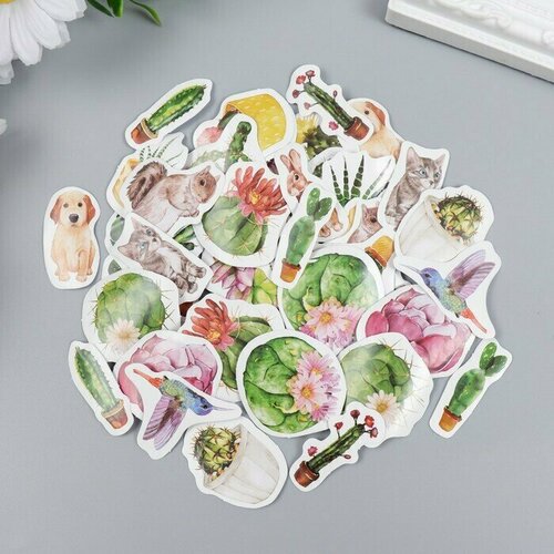 Наклейки для творчества Кактусы и животные набор 46 шт 44х44х11 см 750₽