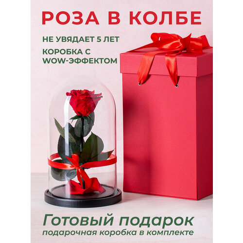 Роза в колбе премиум 7-8 см Красная в подарочной коробке