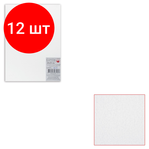 Комплект 12 шт, Картон белый грунтованный для живописи, 25х35 см, двусторонний, толщина 2 мм, акриловый грунт