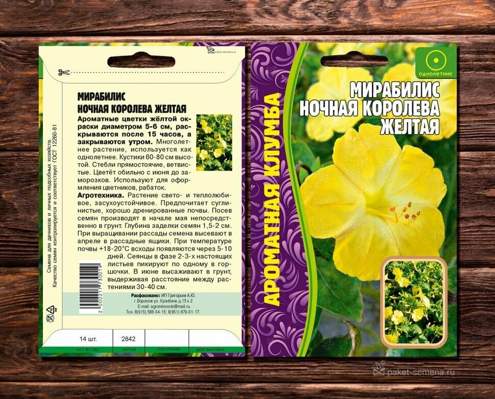 Мирабилис Ночная Королева Желтая/14 семян /Ароматная клумба