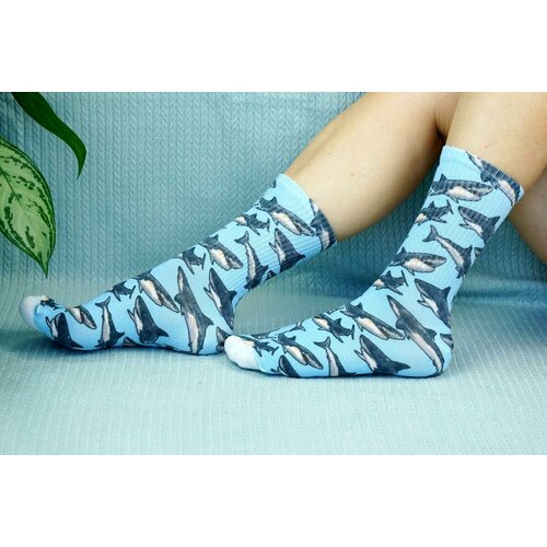 фото Носки , размер 36/41, голубой хлопковые cotton print