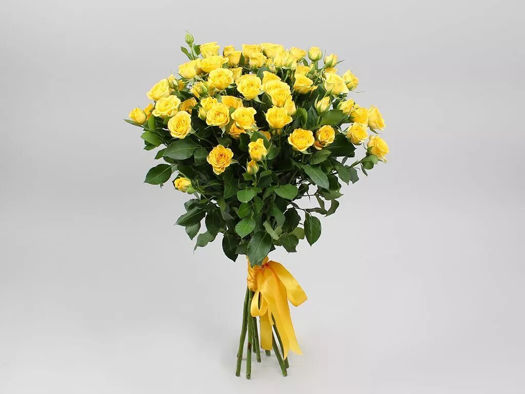 Букет 9 кустовых роз Бэйби Еллоу 60 см.