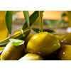 Фото #6 Оливковое масло Extra Virgin OLIMP GREEN LABEL Olive Oil, 1л