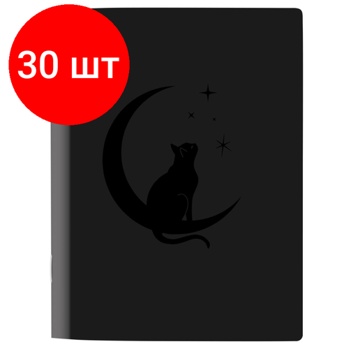 Комплект 30 штук, Тетрадь общая, Attache Selection Кошка 165x220 мм 48л. клетка скрепка