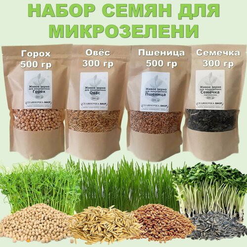 Набор семян для микрозелени Живое зерно 4 шт: Пшеница 500 гр, Овёс 300 гр, Семечка 300 гр, Горох 500 гр