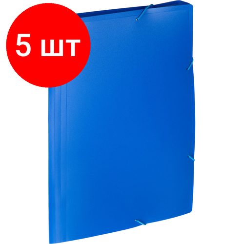 Комплект 5 штук, Папка на резинках Attache, А4, 6 отдел, 700мкм, синяя