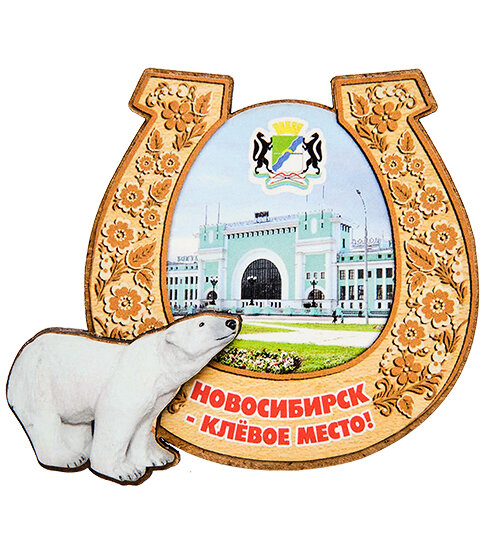 Магнит Новосибирский Академгородок МТ-006/27 113-401981