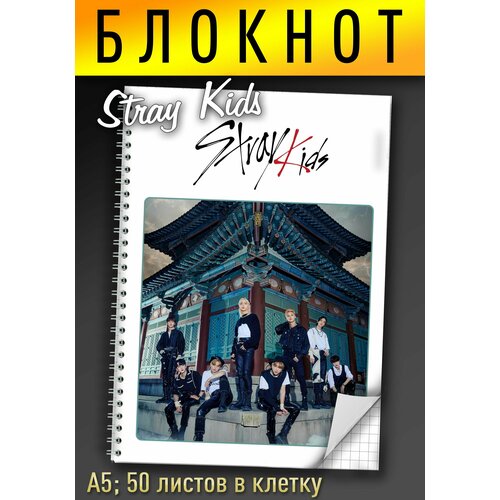 Stray Kids Блокнот А5 в клетку, на пружине