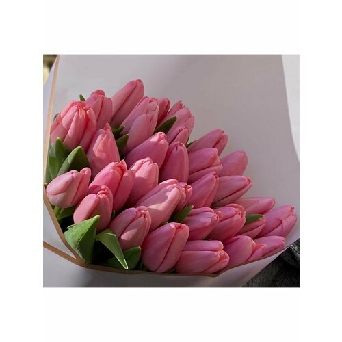 Тюльпан Луковица, Трезор, 3шт крупные, разбор 12/14