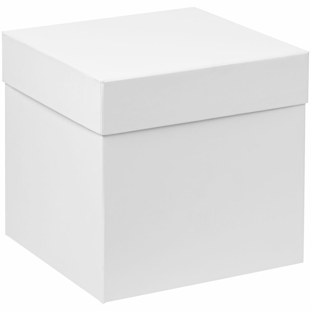 Коробка Cube, M, белая, 20х20х19.5 см; внутренние размеры: 19х19х19 см,