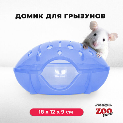 домик переноска zooexpress для грызунов хомяков крыс и мышей 18х12х9 см с дверцей голубой Домик ZOOexpress для грызунов, хомяков, крыс и мышей, 18х12х9 см, без дверцы, голубой