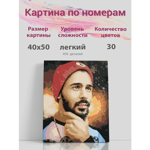 Картина по номерам на холсте с подрамником, Никита Сударь, 40х50 см